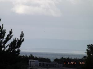 DSCF2778.JPG