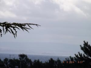 DSCF2779.JPG