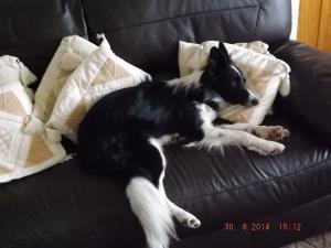 DSCF2832.JPG