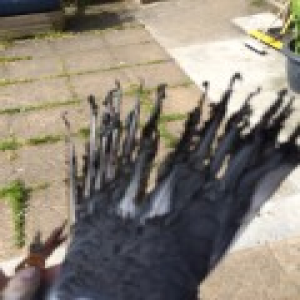 post-10243-14390500514369_thumb.png
