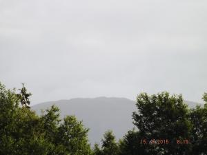 forthupdate15.8.15 007.JPG