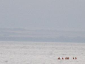 forth22.8.15 010.JPG