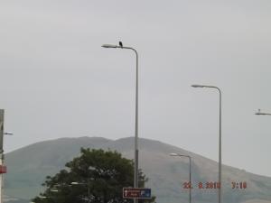 forth22.8.15 005.JPG
