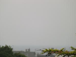 forth23.8.15 005.JPG