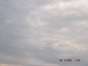 forth23.8.15 003.JPG