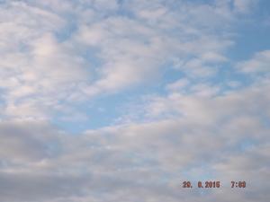 forth29.8.15 003.JPG