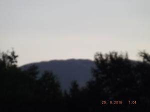 forth29.8.15 006.JPG