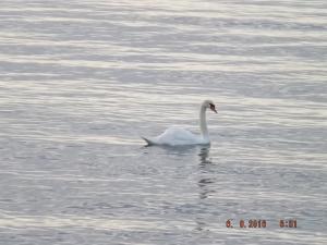 DSCF3930.JPG