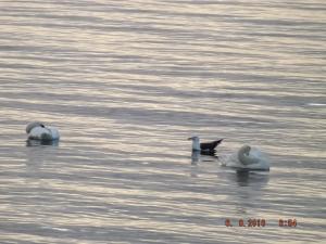 DSCF3939.JPG