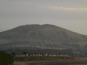 DSCF3994.JPG