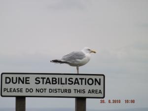 DSCF5372.JPG