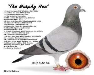 the murphy hen.png