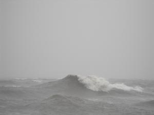 2010_09070004.JPG