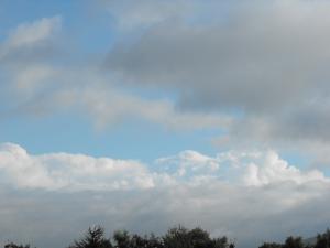 2010_09110003.JPG