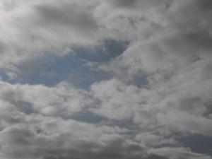 2010_09110002.JPG