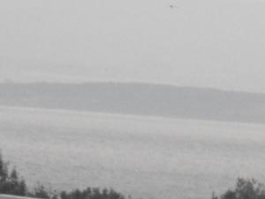 2011_09100008.JPG