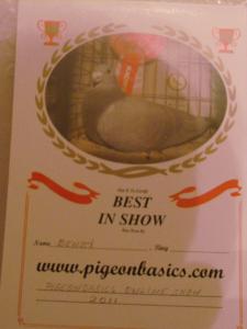 2011_0927beach27sepshowcards0001.JPG