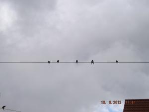 2012_09160006.JPG