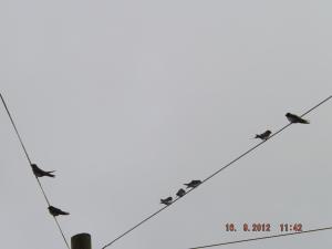 2012_09160011.JPG
