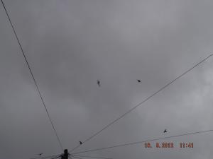 2012_09160008.JPG