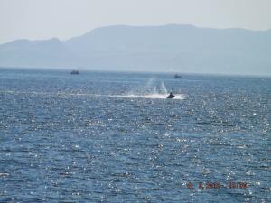DSCF2112.JPG