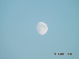 DSCF2185.JPG