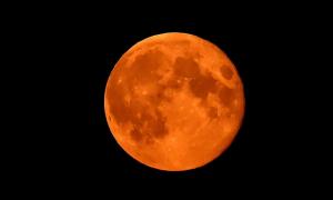 1210red moon.jpg