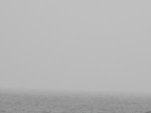DSCF3301.JPG