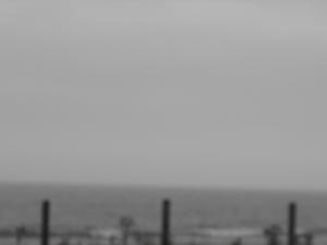 DSCF3309.JPG