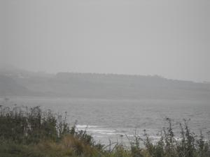 DSCF3306.JPG
