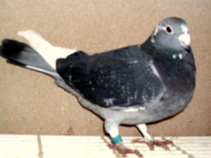 DSCF0073.JPG