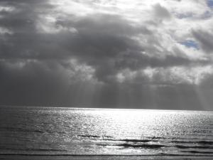 2010_10180008.JPG