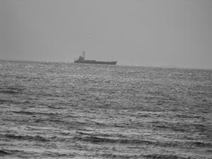 2010_10180009.JPG
