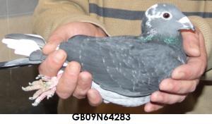 post-243-13199952950457_thumb.jpg