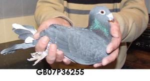 post-243-13199953147857_thumb.jpg