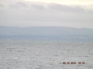 beach30.10.12 005.JPG