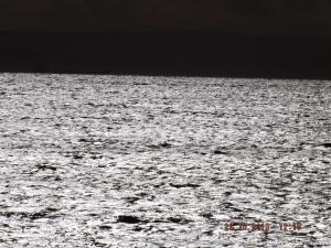 the forth29.10.13 004.JPG