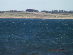 the forth29.10.13 002.JPG
