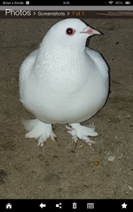 post-31880-14457139466436_thumb.png