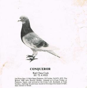 (2) CONQUEROR.jpg