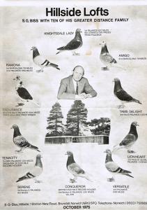 (5) Jim Biss team of Distance Pigeons.jpg