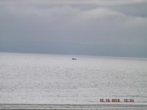 DSCF5918.JPG