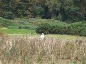 DSCF5923.JPG