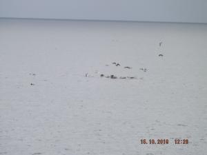 DSCF5924.JPG