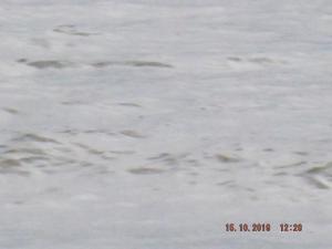 DSCF5925.JPG