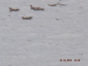 DSCF5926.JPG