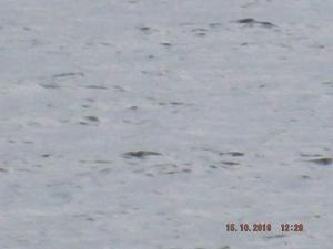 DSCF5927.JPG