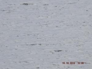 DSCF5928.JPG