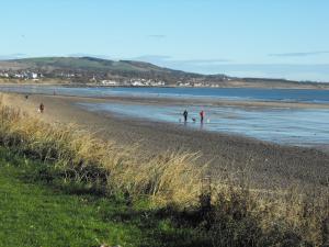 2010_1110levenbeach0002.JPG