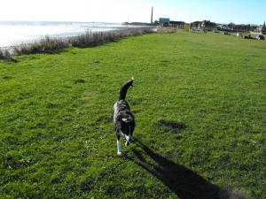 2010_1110levenbeach0004.JPG